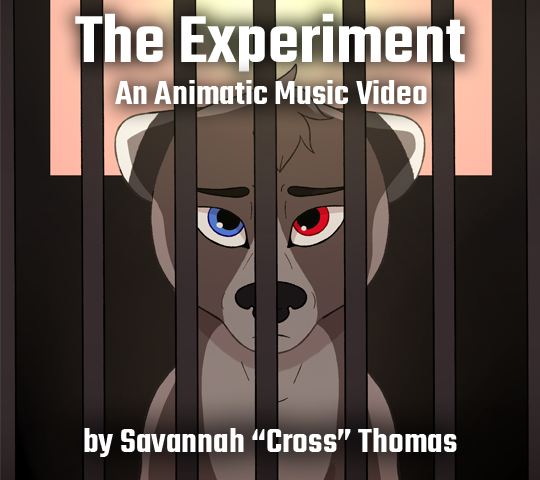 The Experiment | Cross Thomas