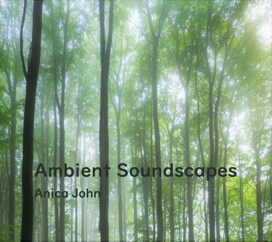 Ambient Soundscapes | Anica John