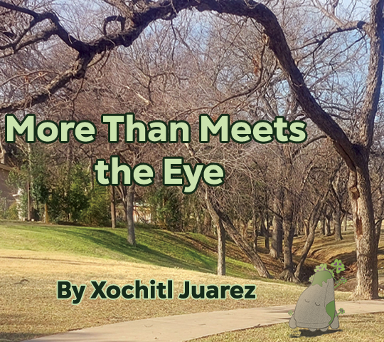 More Than Meets the Eye | Xochitl Juarez